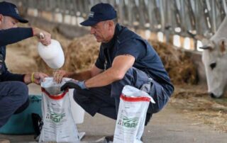 icqrf-repressione-frodi-agroalimentare-mozzarella