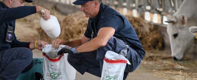 icqrf-repressione-frodi-agroalimentare-mozzarella