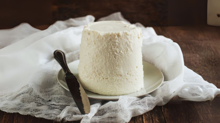 ricotta ricotta