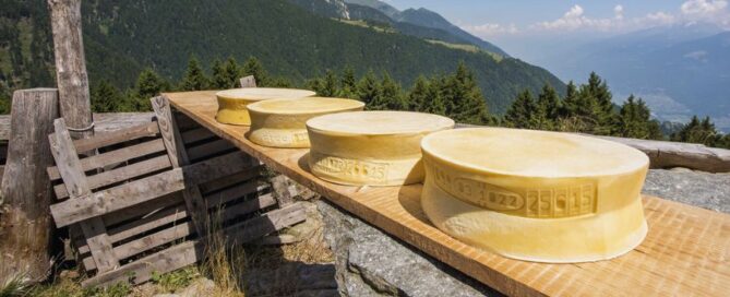 bitto-dop-valtellina