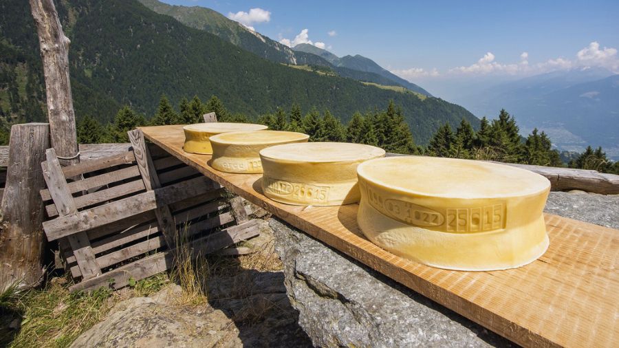 bitto-dop-valtellina
