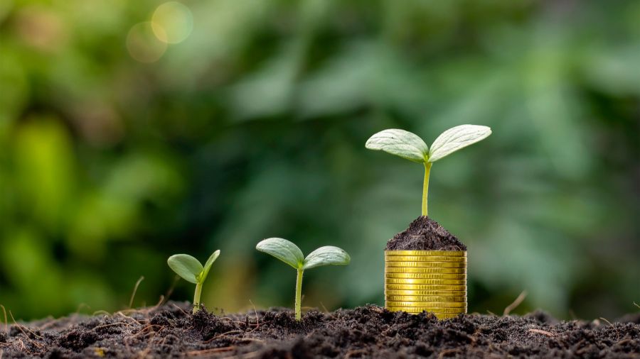 soldi-agricoltura-finanziamenti
