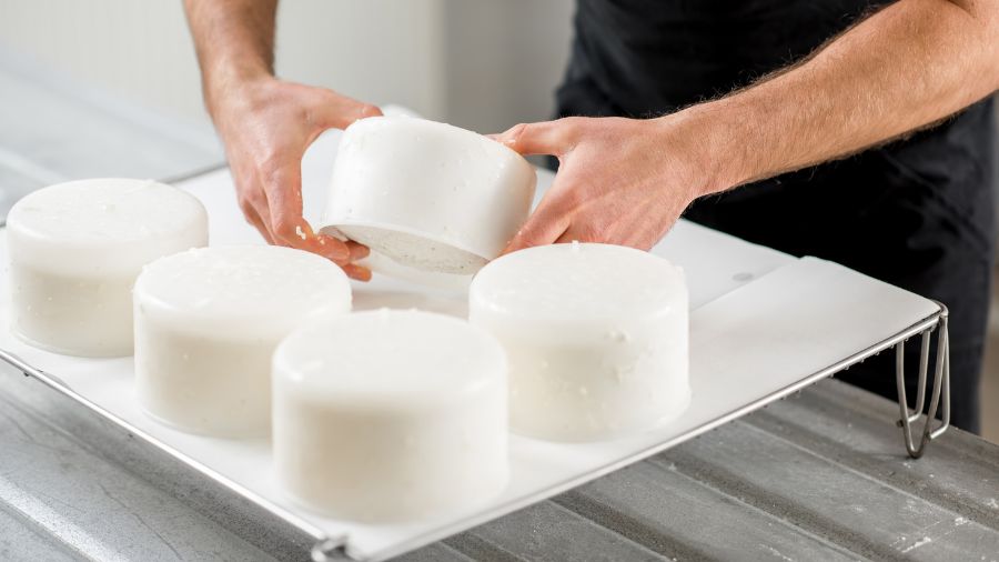 caseificazione – caseficio – formaggio caseificazione - caseficio - formaggio
