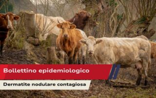 Bollettino epidemiologico