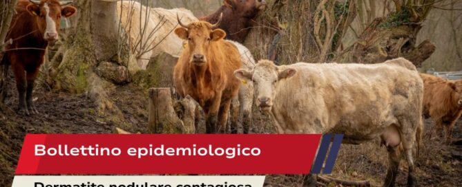 Bollettino epidemiologico