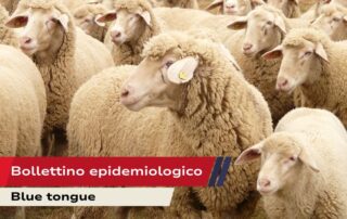 Bollettino-epidemiologico-BT