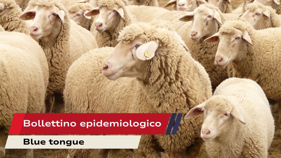 Bollettino-epidemiologico-BT Bollettino-epidemiologico-BT
