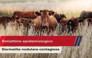Bollettino epidemiologico