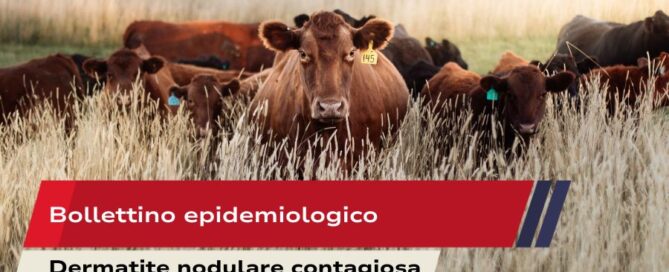 Bollettino epidemiologico
