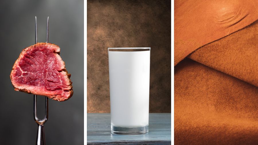 carne-latte-pelle carne-latte-pelle