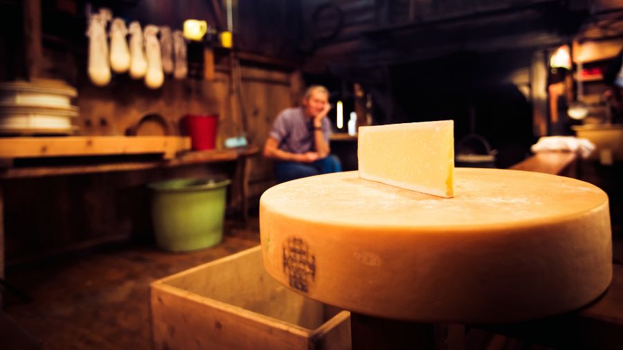 formaggio-casaro formaggio-casaro