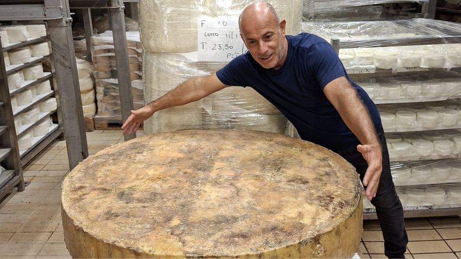 Gigante del cedrino Pecorino-da-recod-Loculi