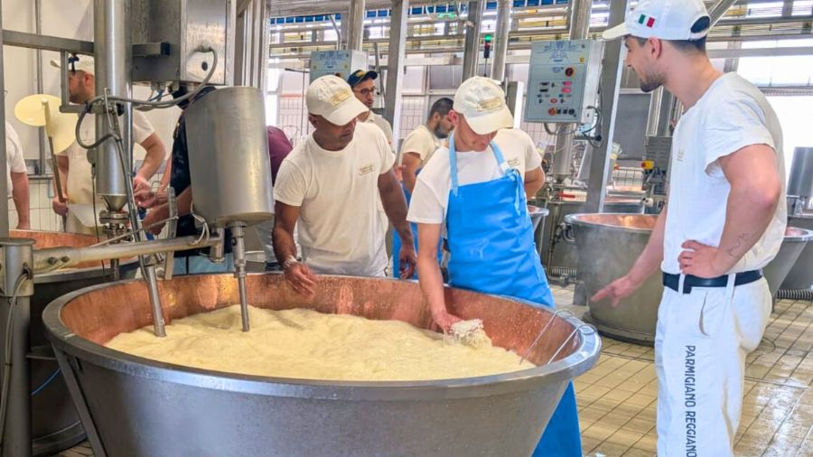 caseificio - casaro - parmigiano reggiano
