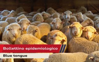 Bollettino epidemiologico