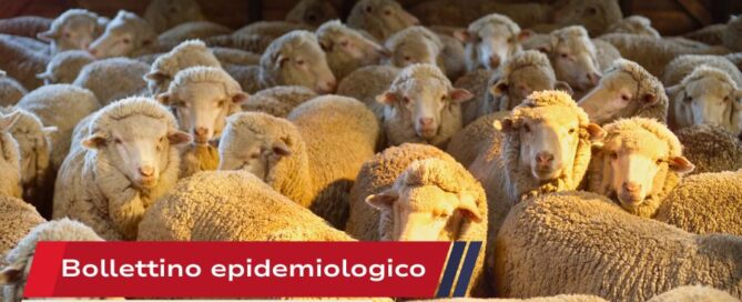 Bollettino epidemiologico