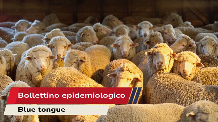 Bollettino epidemiologico