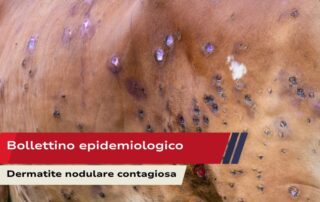 Bollettino epidemiologico -LSD