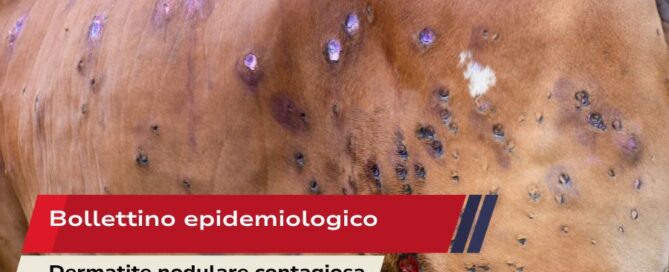 Bollettino epidemiologico -LSD