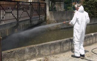 disinfestazione-interventi-prevenzione