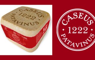 Caseus-Patavinus-1222