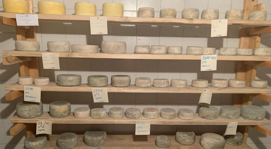 Foto-archivio-associazione-casare-casari Formaggi-latte-crudo