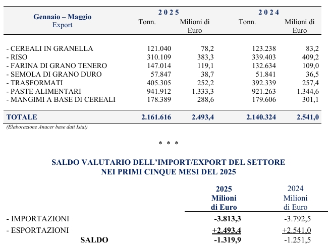 Elaborazione Anacer base dati Istat)