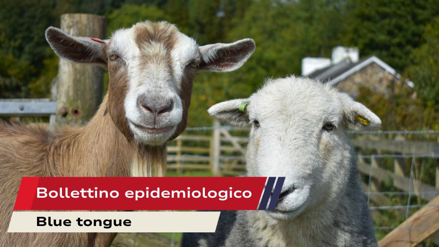 Bollettino epidemiologico-sett2025