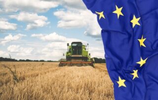 pac-europa-bandiera-campo