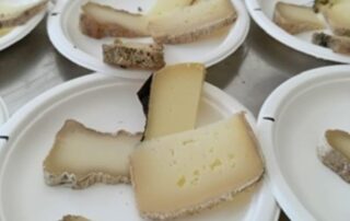Casecc-Regione-Marche-Cheese
