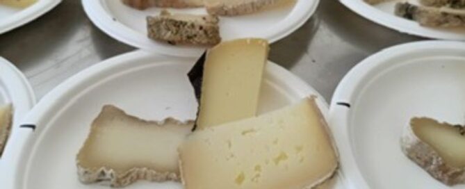 Casecc-Regione-Marche-Cheese