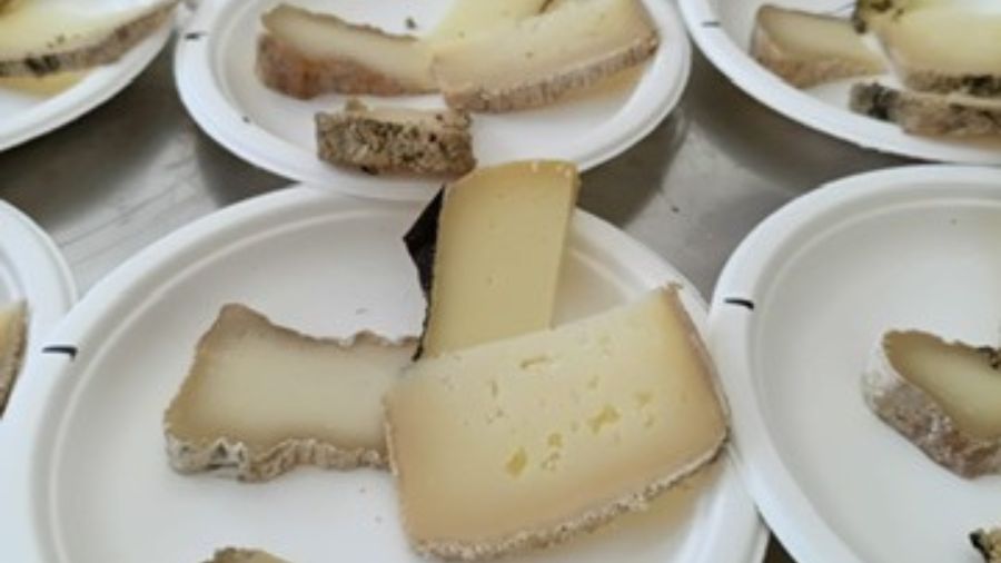 Casecc-Regione-Marche-Cheese