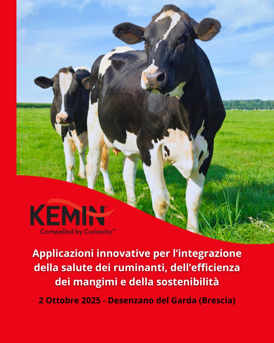 kemin