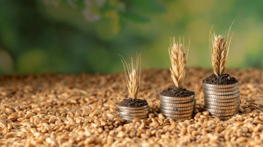 soldi – agricoltura (2)