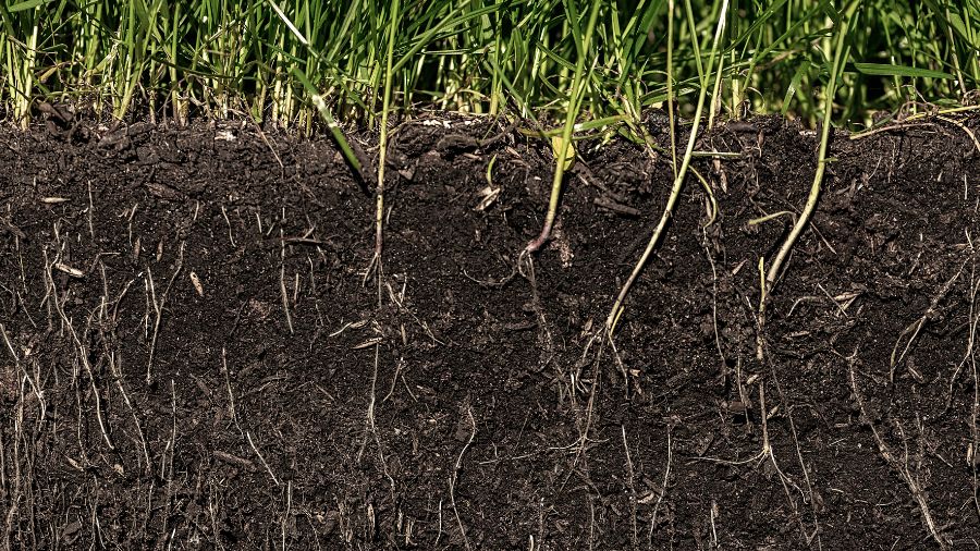 suolo – terra – piante