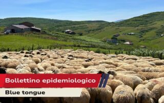 Bollettino epidemiologico-14-ott-2025
