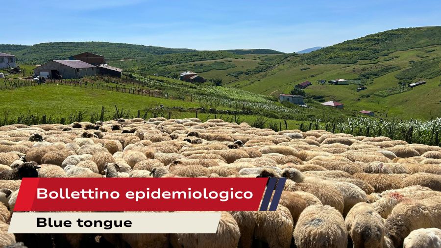 Bollettino epidemiologico-14-ott-2025 Bollettino epidemiologico-14-ott-2025