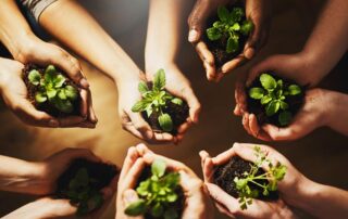 alimentazione-sostenibile