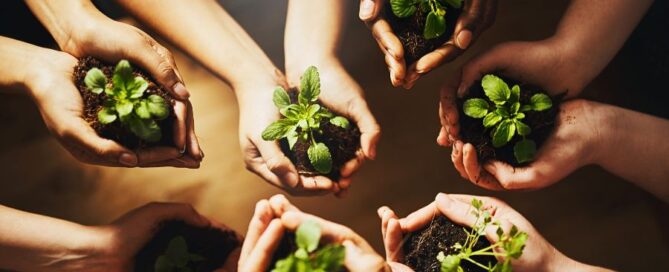 alimentazione-sostenibile