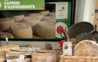 Presidio-Slow-Food-Caprini-Aspromonte-Sacca