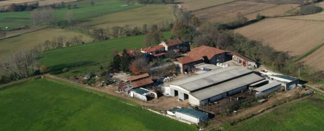 Le-marcite-di-Cascina-Selva