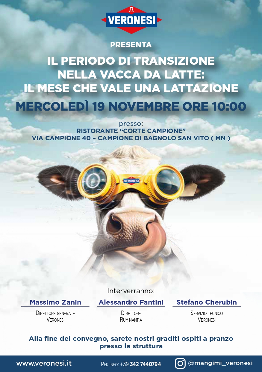 convegno Veronesi