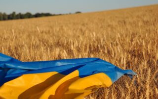 Ucraina dazi