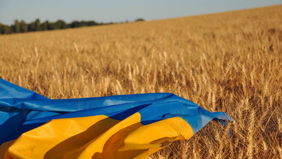 Ucraina dazi