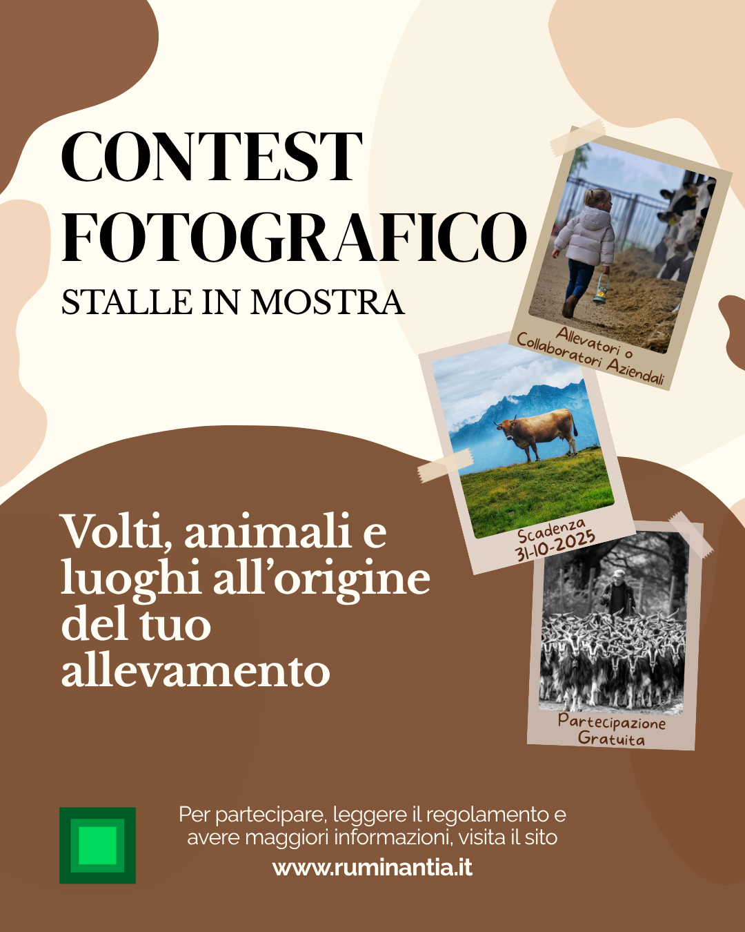 concorso fotografico