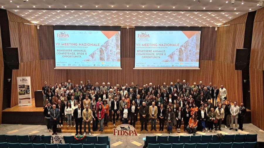 meeting fidspa 2025