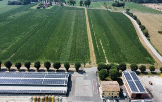 Azienda Agricola Corticella