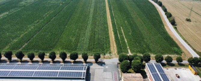 Azienda Agricola Corticella
