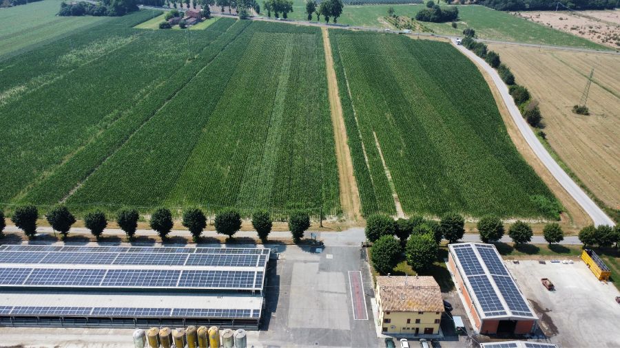 Azienda Agricola Corticella Azienda Agricola Corticella
