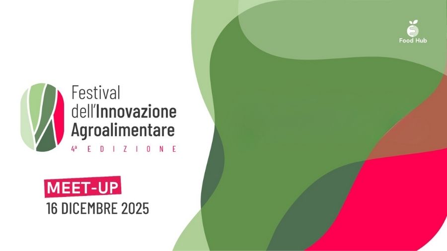 COPERTINE GIULIA (17)