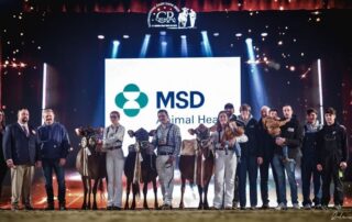 Cremona International Dairy Show 2025: ecco le vincitrici della razza Bruna